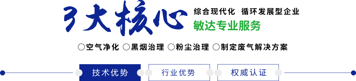 啊啊啊啊,内射了,大鸡巴视频敏达环保科技（嘉兴）有限公司